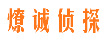 镇雄市场调查